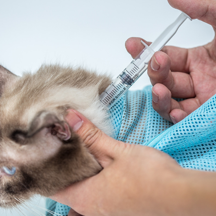 Katzen-Badebeutel für Krallenschneiden und Ohrreinigung