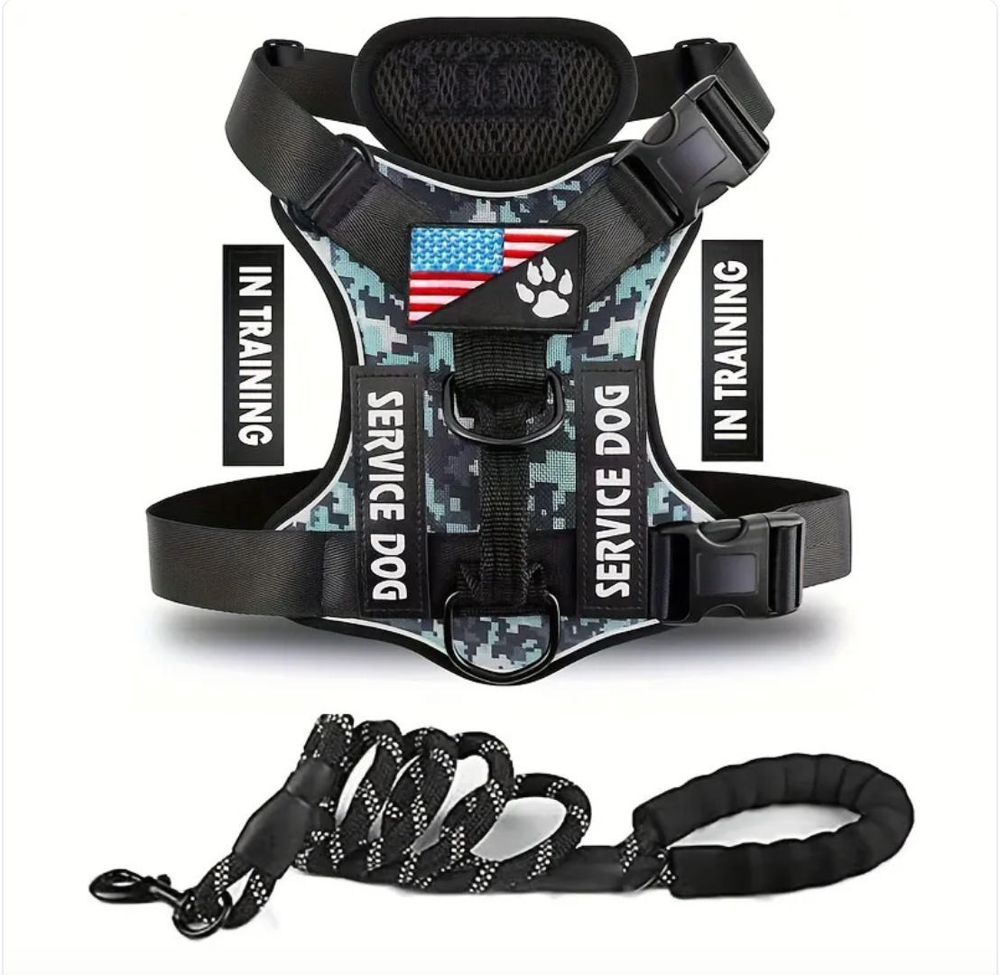 Verstellbares Hundegeschirr & Leinen Set