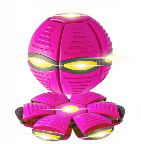 Magischer UFO Hunde Ball