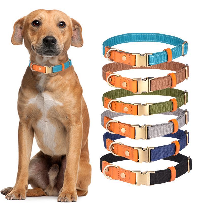 Hunde-Halsband aus erstklassigem Rindsleder