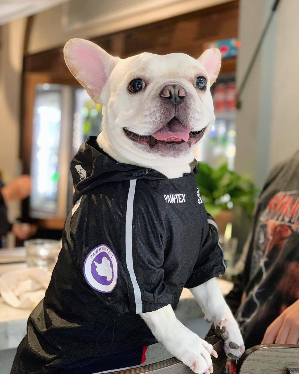 Wasserdichte Hundejacke
