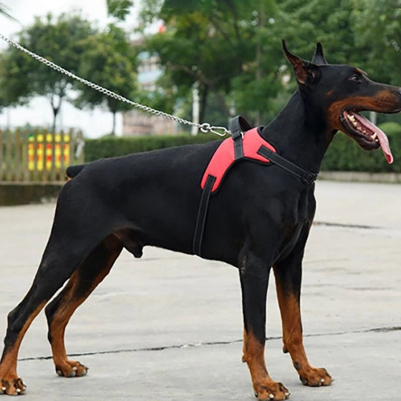 Einstellbares Hundegeschirr und reflektierendes Leinenset
