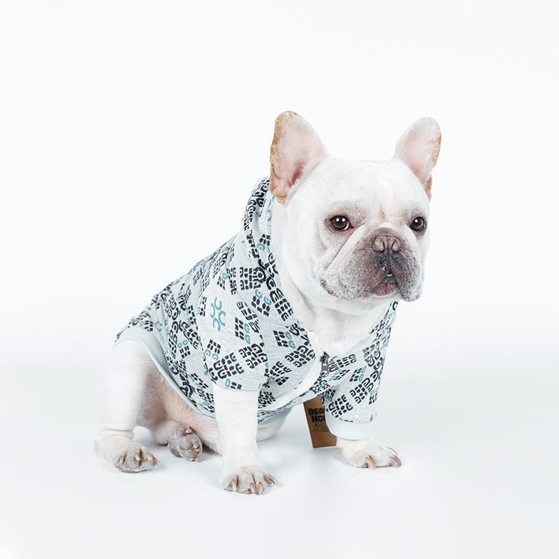 Teddy Hund Muster Druck