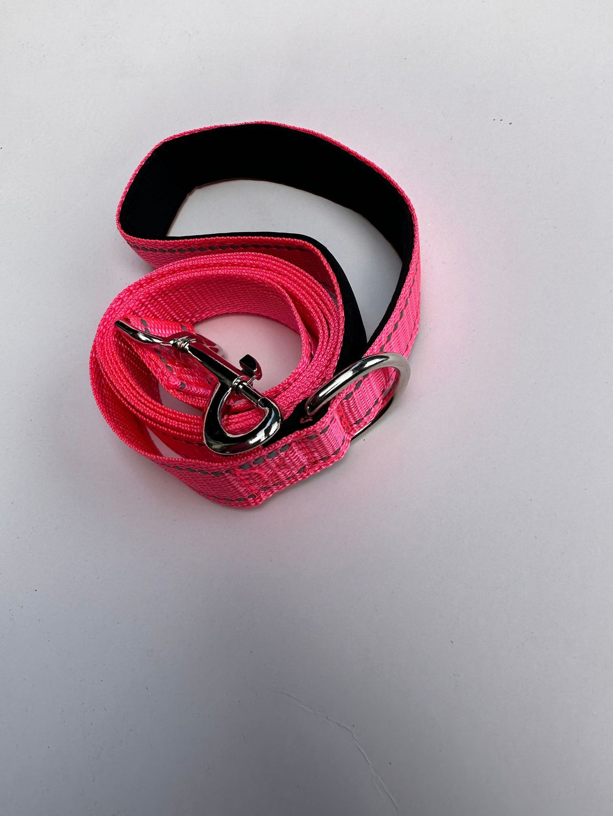Reflektierende Hundeleine mit Handgriff