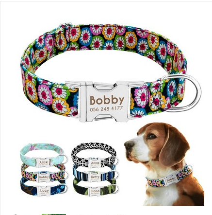Individuelles Anti-Verlust Hundehalsband mit Anhänger und Leine