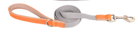 Hunde-Halsband aus erstklassigem Rindsleder