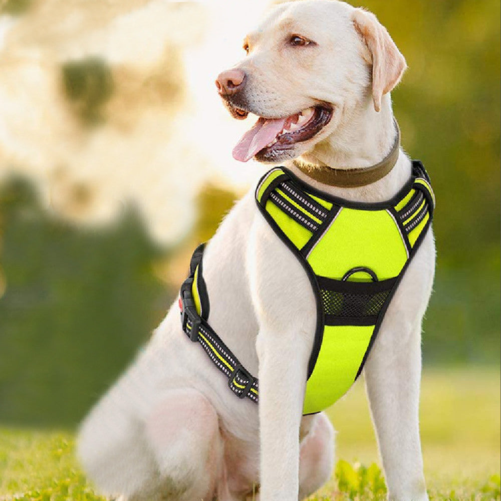 Pet Traction Rope with Chest Strap Harness
