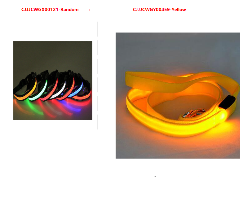 LED Hundeleine mit fluoreszierendem Hundehalsband