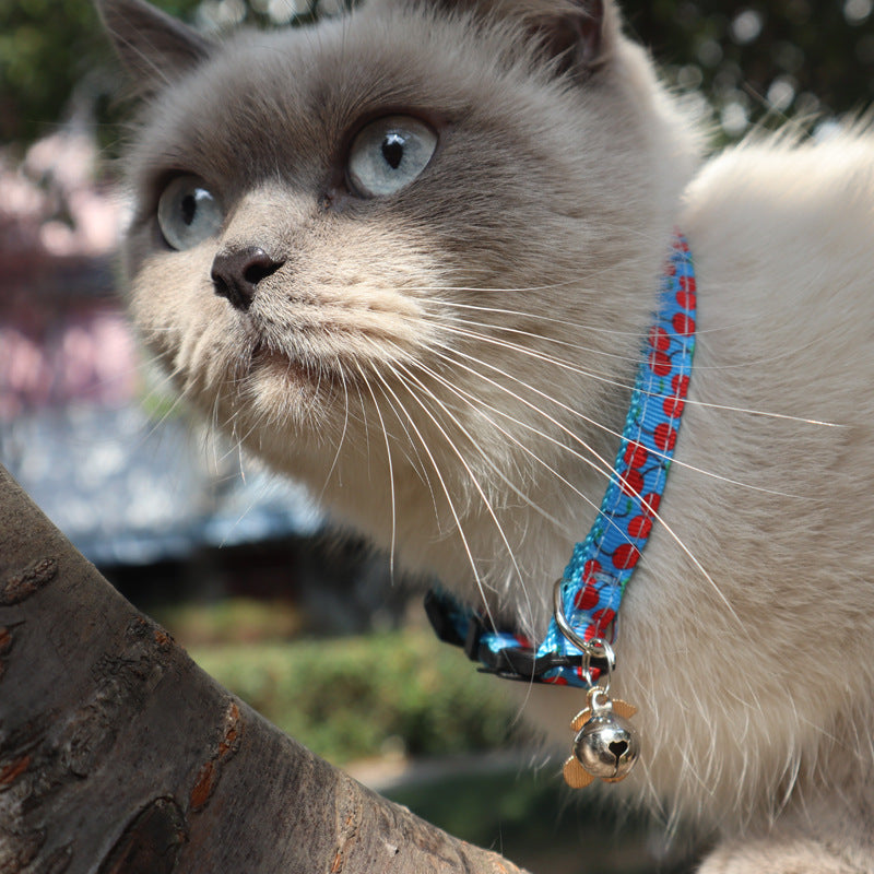 Arminger's Neues Frucht-Katzenhalsband mit Gurtband-Design