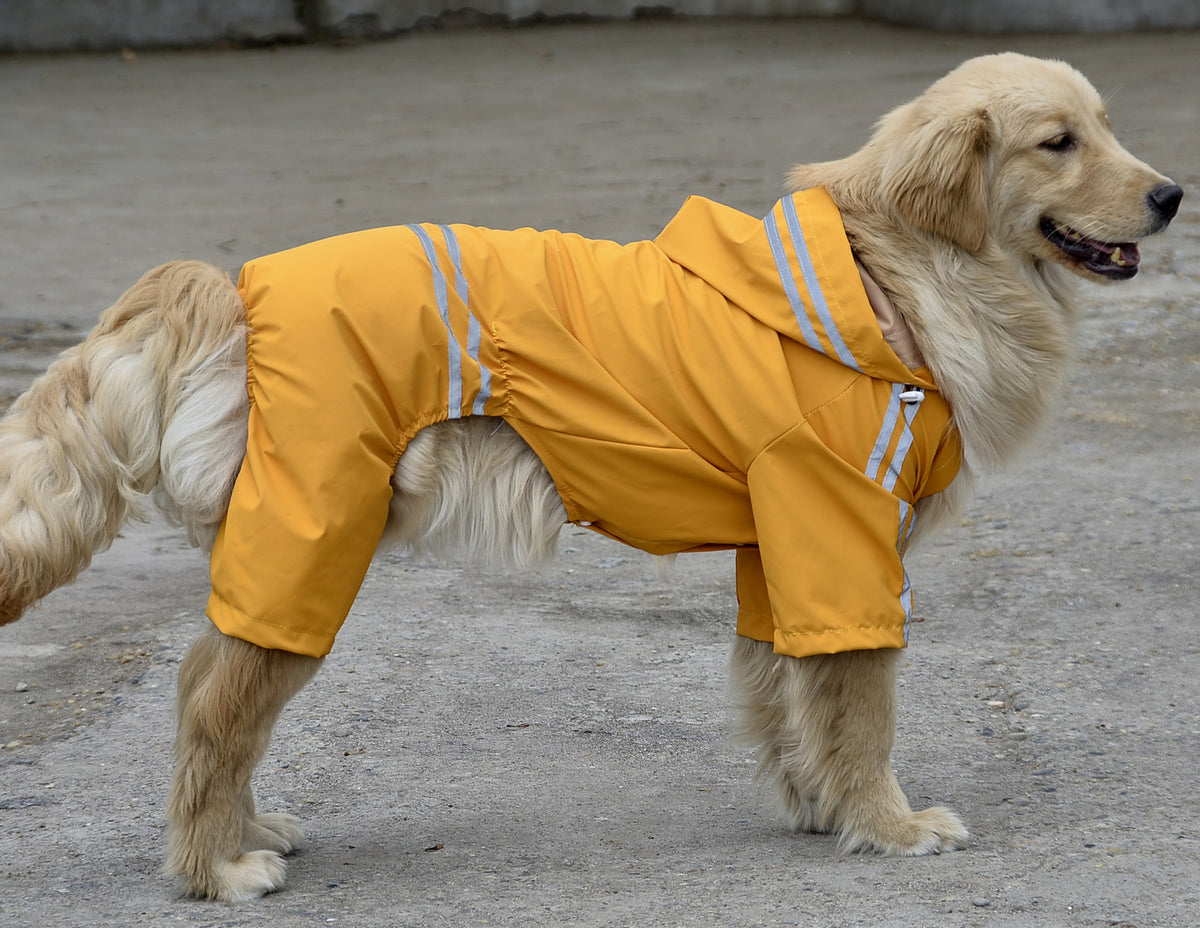 Regenjacke für große & mittlere Hunde