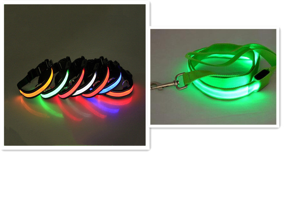 LED Hundeleine mit fluoreszierendem Hundehalsband