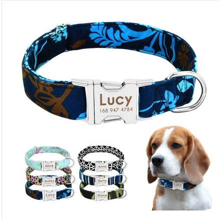 Individuelles Anti-Verlust Hundehalsband mit Anhänger und Leine