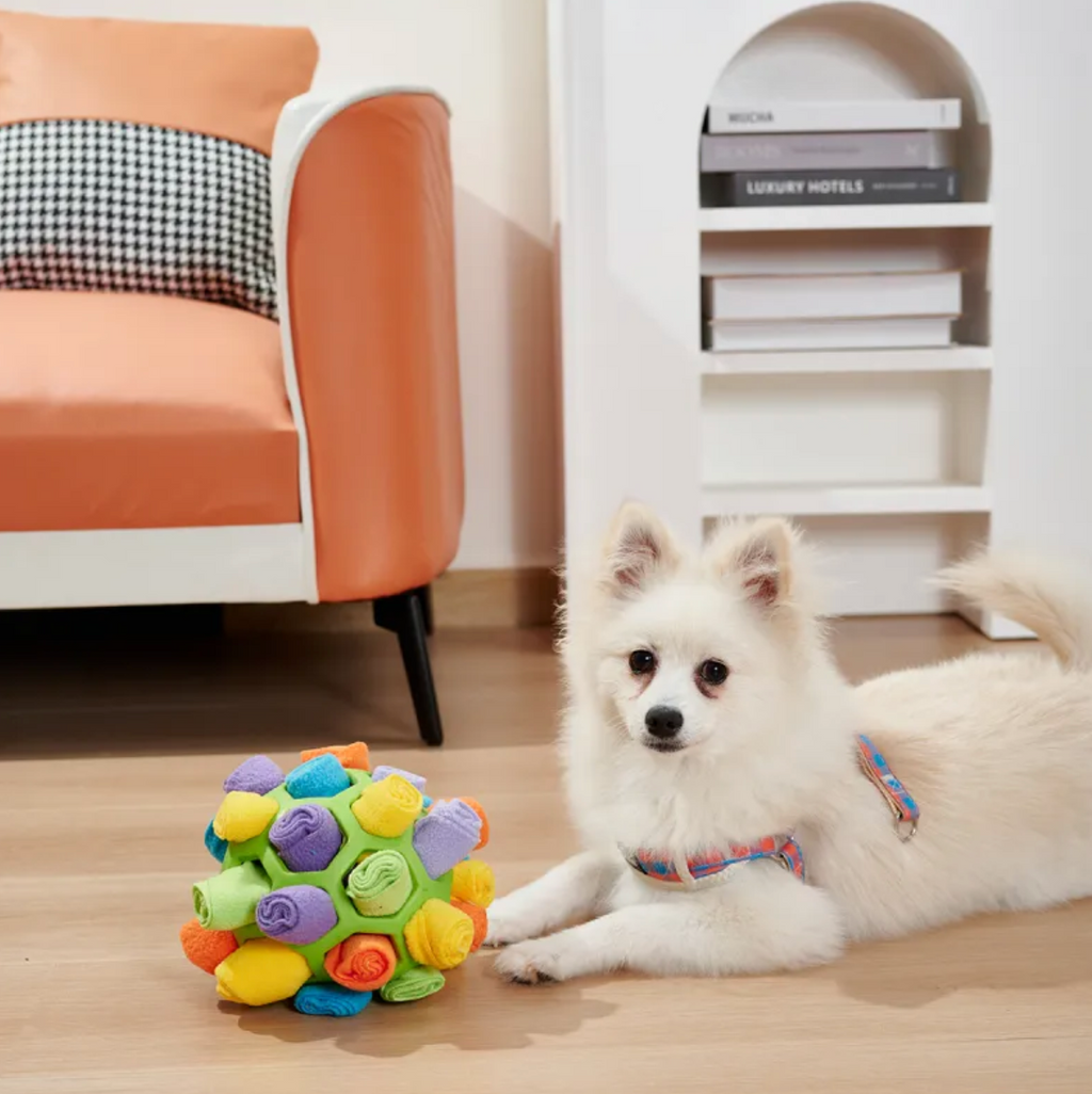 Schnüffel-Puzzleball für Hunde