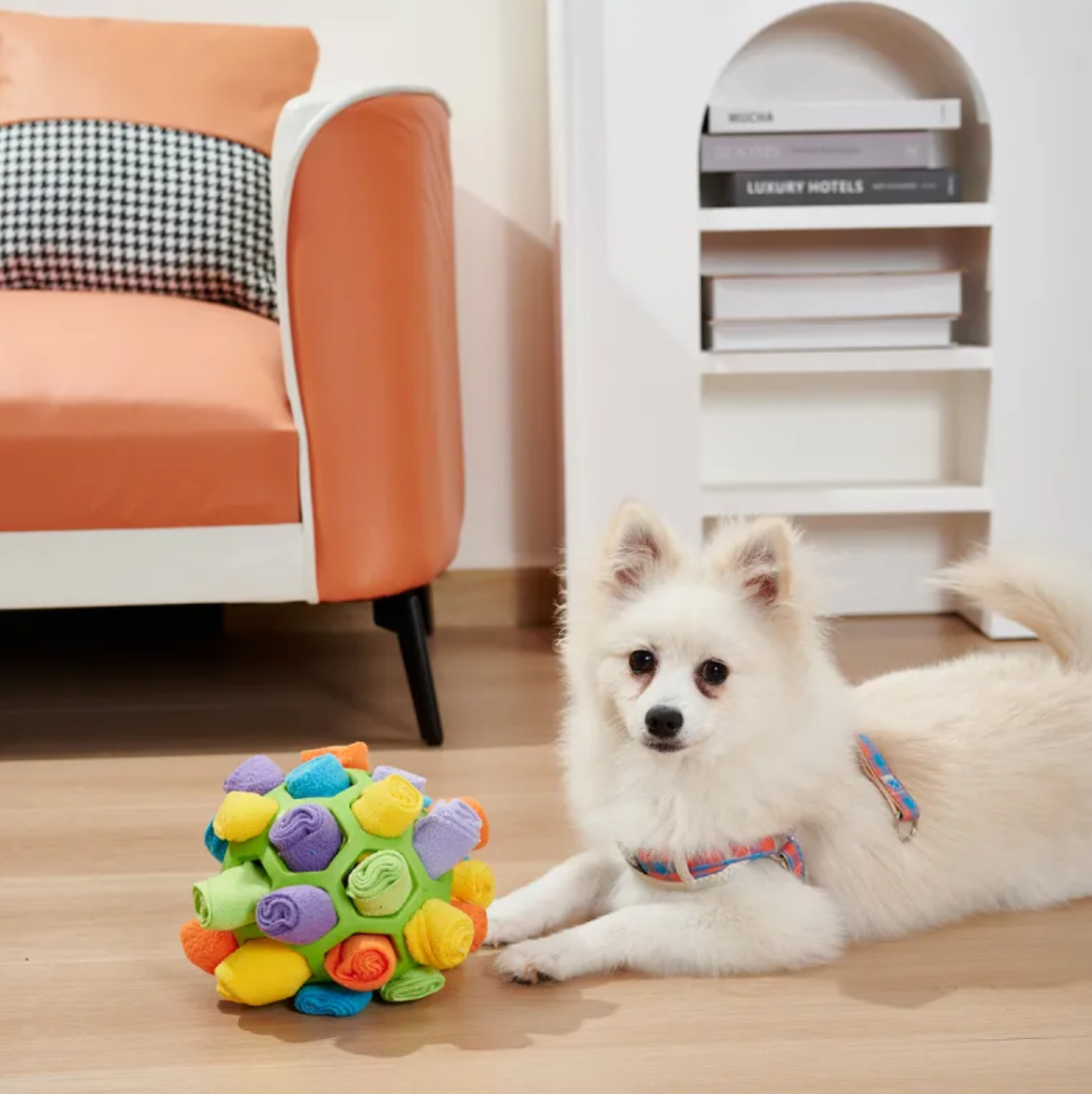 Schnüffel-Puzzleball für Hunde