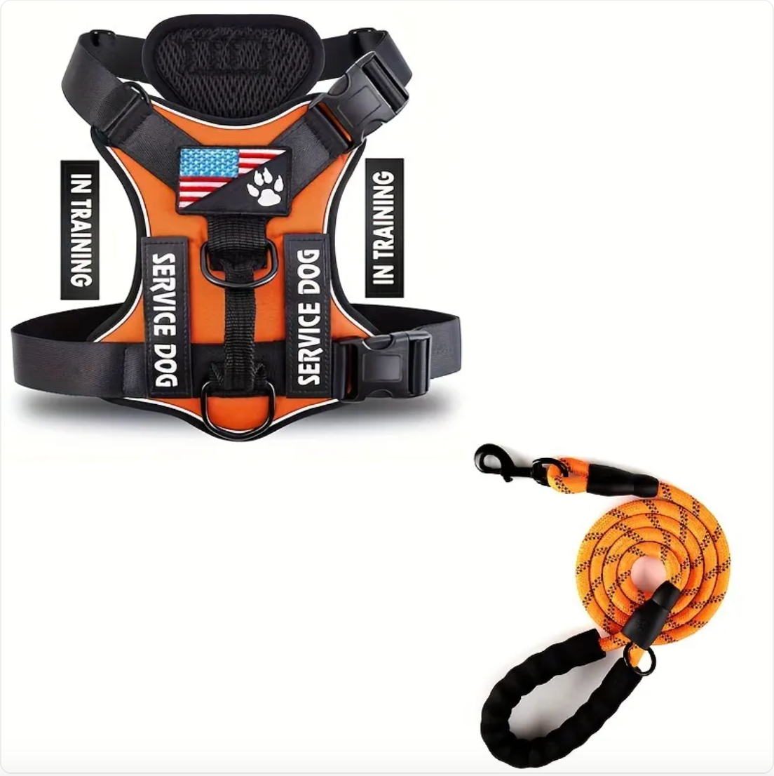Verstellbares Hundegeschirr & Leinen Set