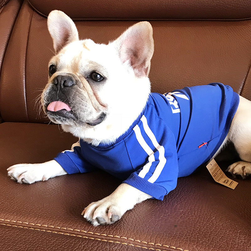 Hund-T-Shirt für kleine Hunde