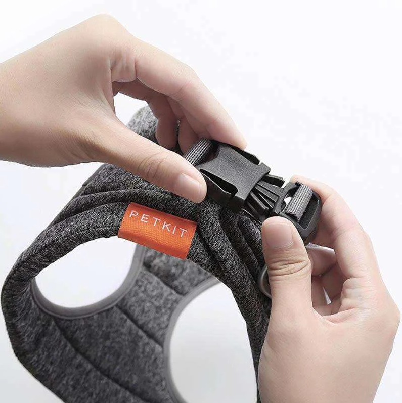 Hundeleine und Geschirr Set für Outdoor-Aktivitäten
