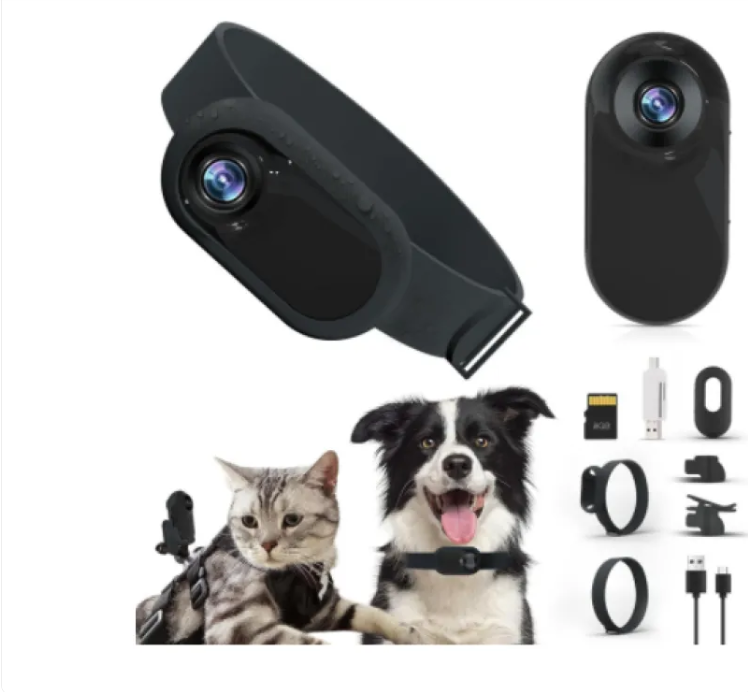 Paw Cam Kabelloses Haustierhalsband
