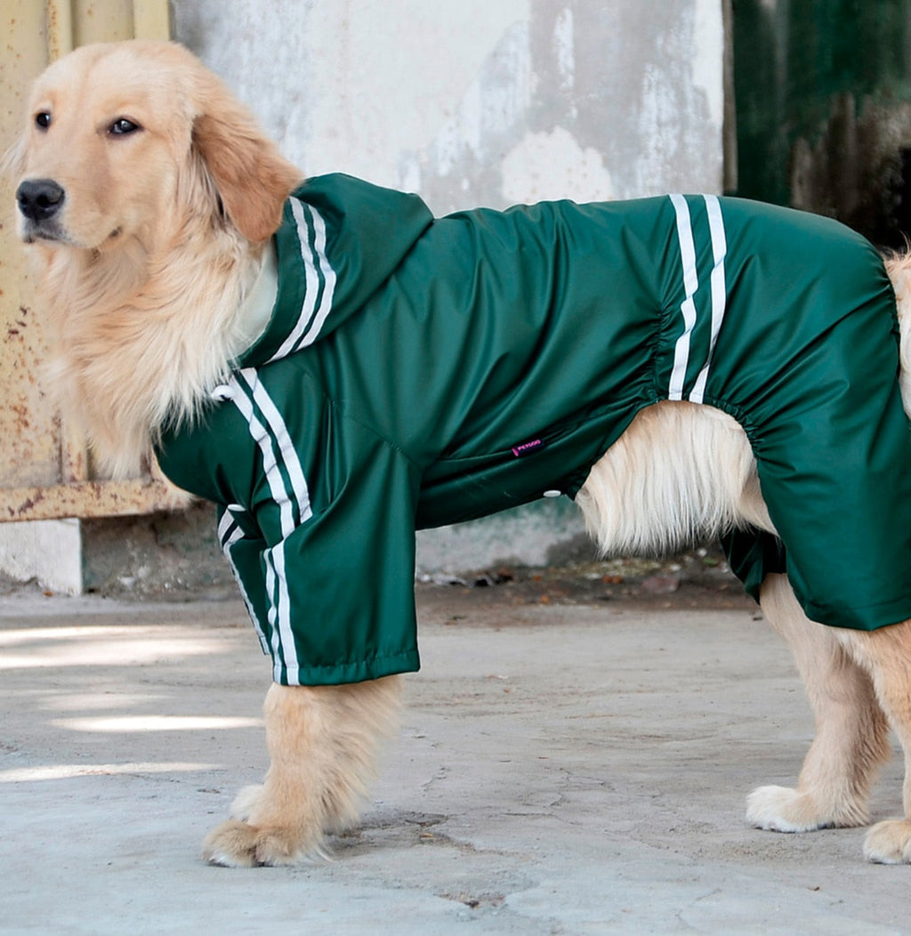 Regenjacke für große & mittlere Hunde