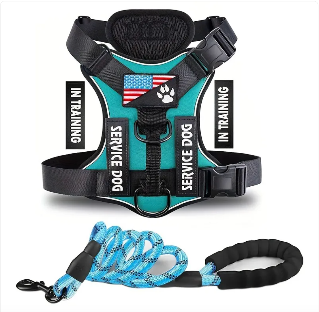 Verstellbares Hundegeschirr & Leinen Set