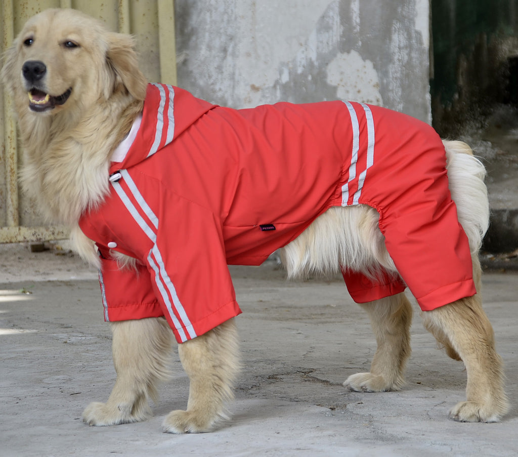 Regenjacke für große & mittlere Hunde