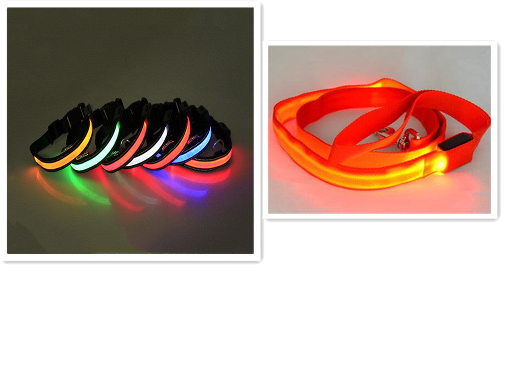 LED Hundeleine mit fluoreszierendem Hundehalsband