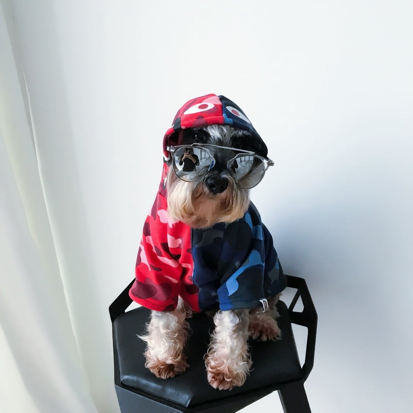Pupreme Pawmain Retro Hundepullove
