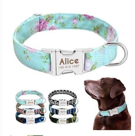 Individuelles Anti-Verlust Hundehalsband mit Anhänger und Leine