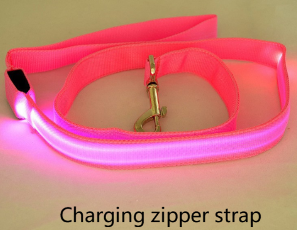 LED Hundeleine mit fluoreszierendem Hundehalsband