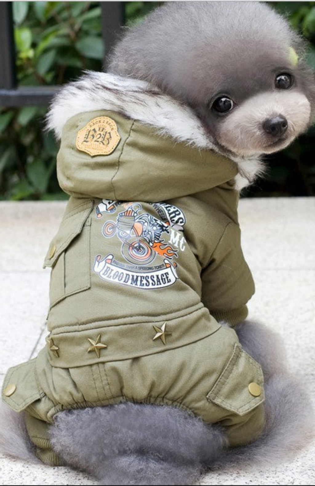Militär-Stil Baumwolljacke für Hunde