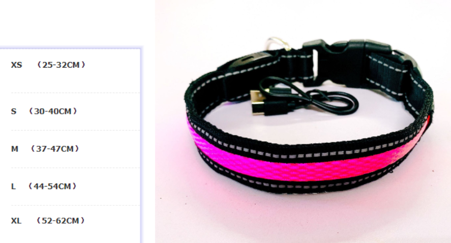 LED Hundeleine mit fluoreszierendem Hundehalsband
