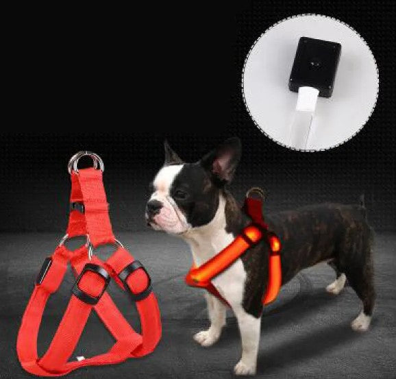 LED Leuchtender Hundegeschirrriemen