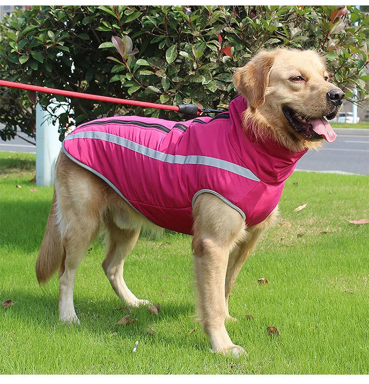 Dickere winddichte Hundejacke