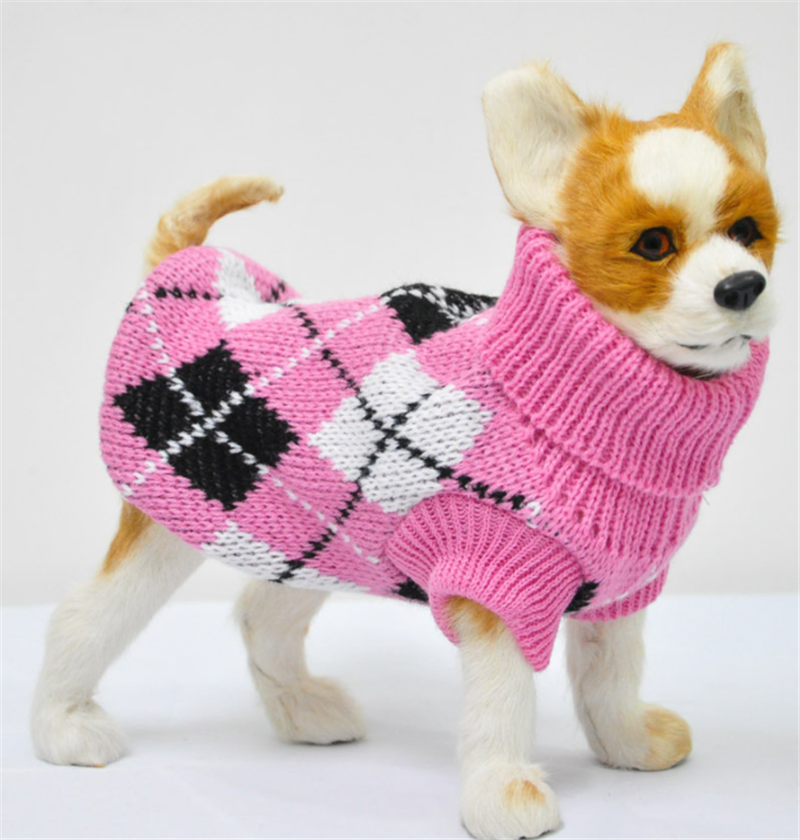 Stilvoller Hundepullover
