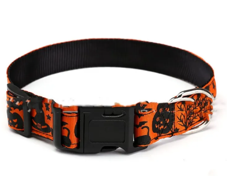 Halloween Haustierhalsband