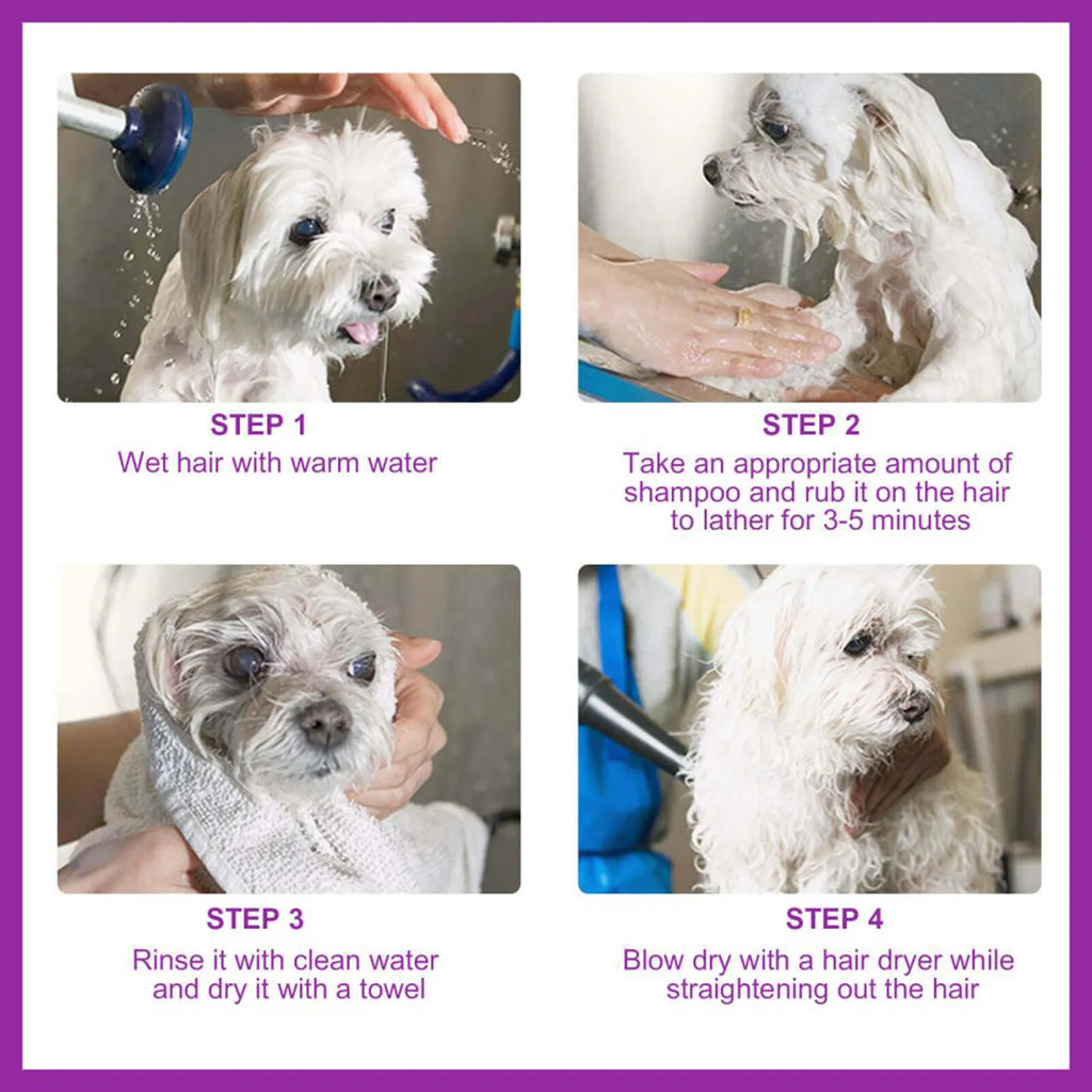 Hundeshampoo