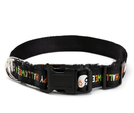 Halloween Haustierhalsband