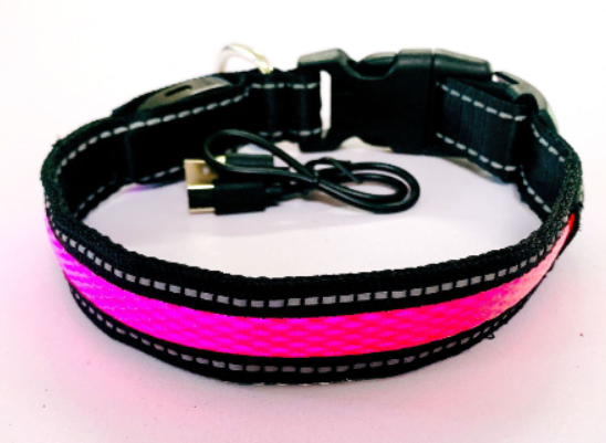 LED Hundeleine mit fluoreszierendem Hundehalsband
