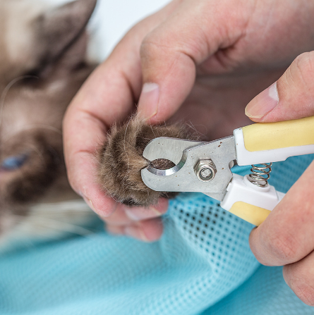 Katzen-Badebeutel für Krallenschneiden und Ohrreinigung