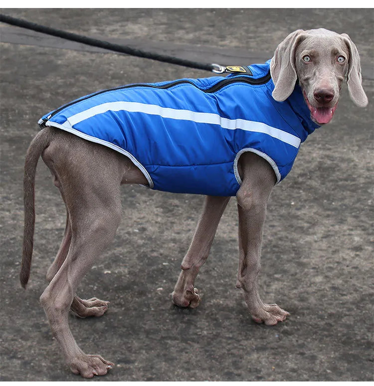 Dickere winddichte Hundejacke