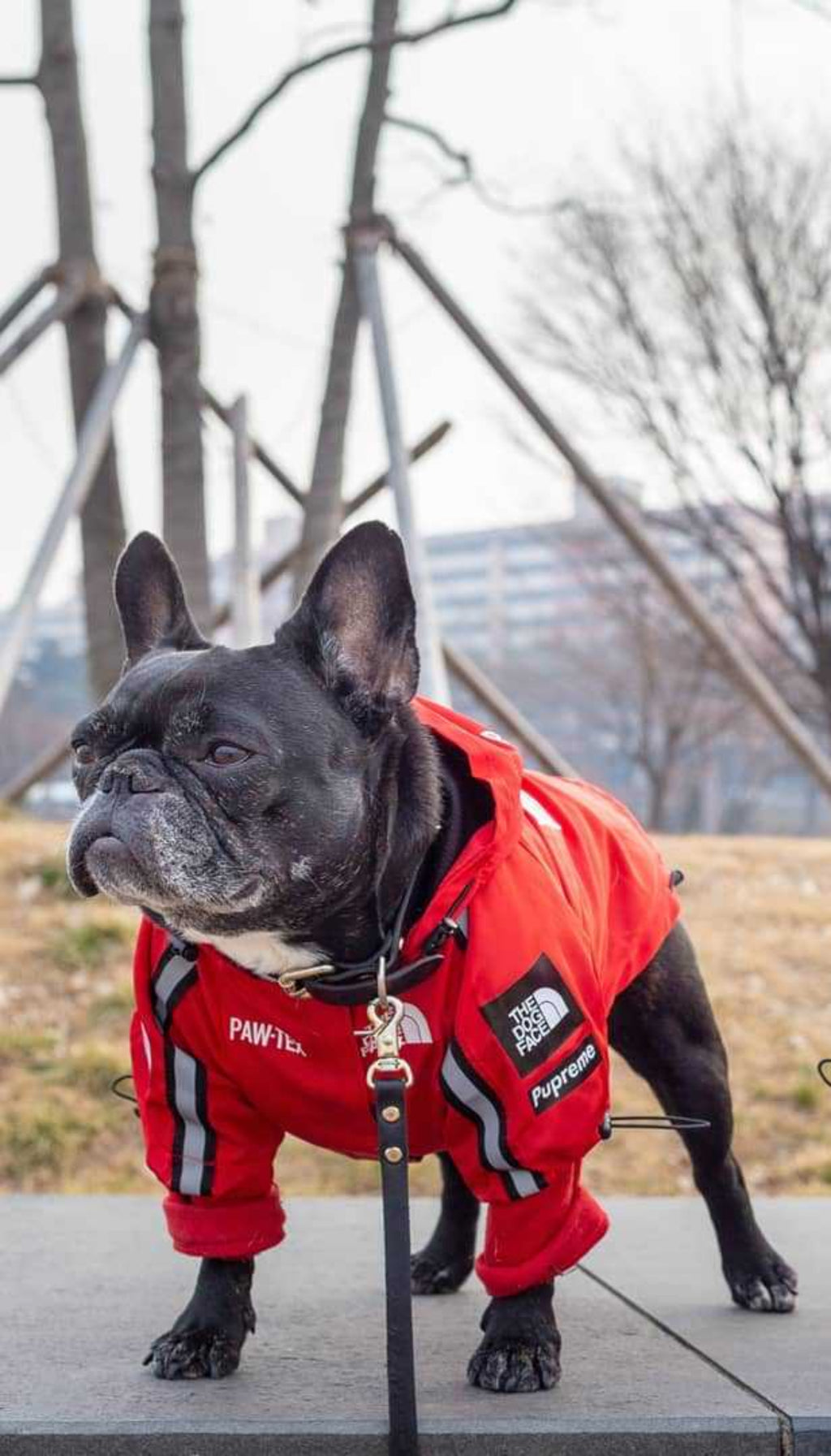 Wasserdichte Hundejacke