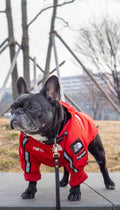 Wasserdichte Hundejacke
