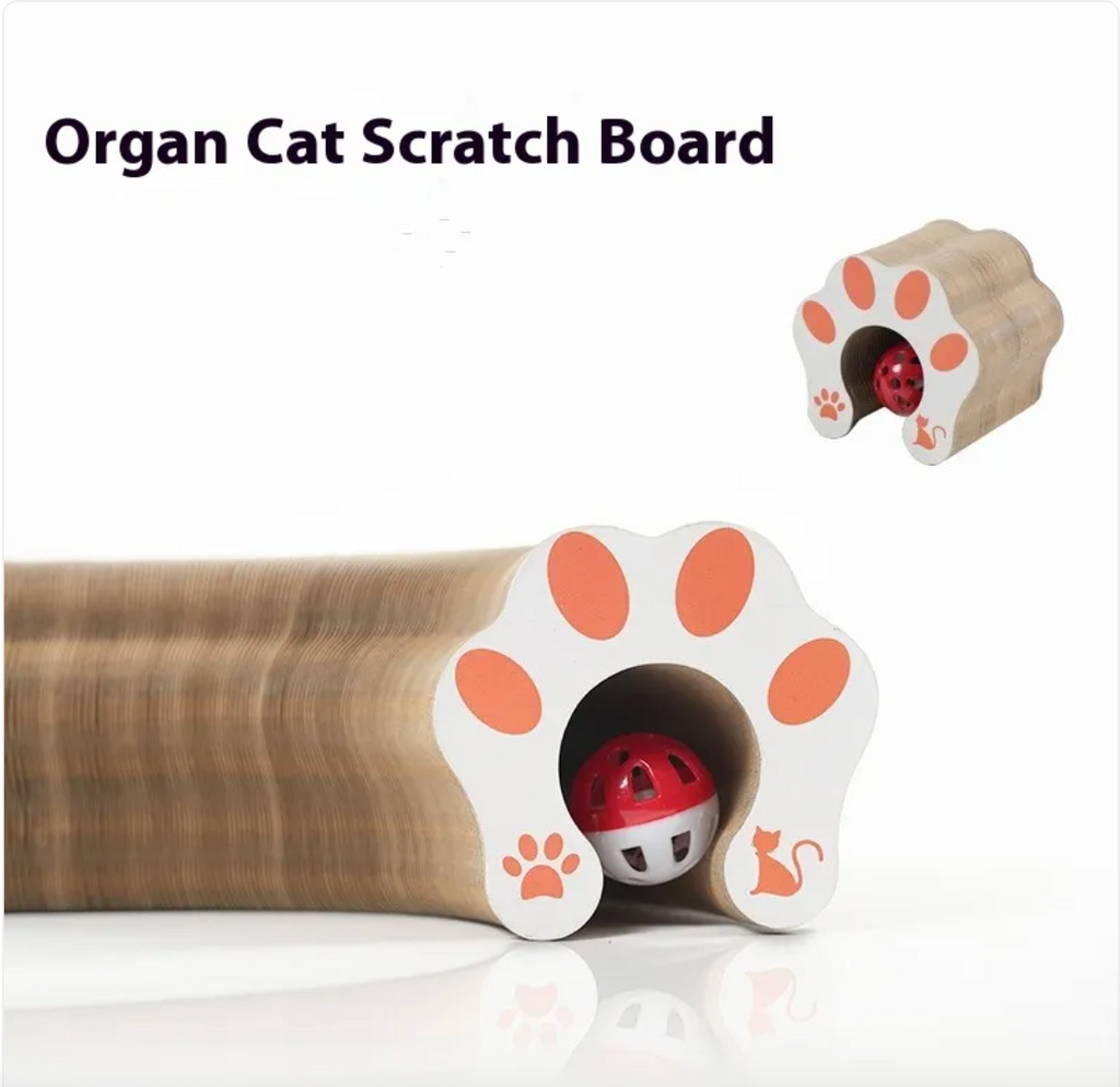 Magnetisches Klappbares Katzen-Kratzbrett Spielzeug