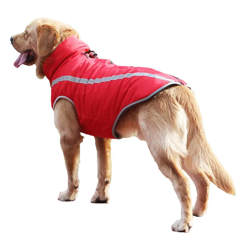Dickere winddichte Hundejacke