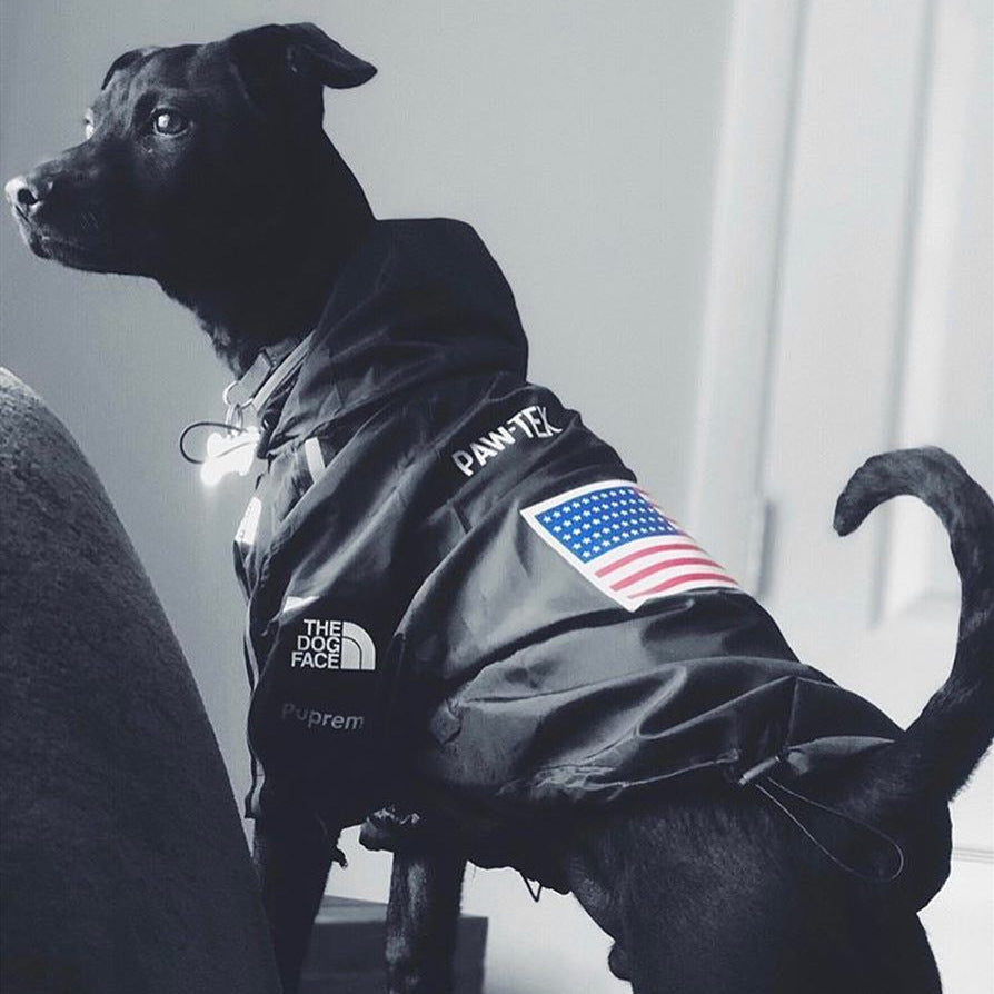 Wasserdichte Hundejacke