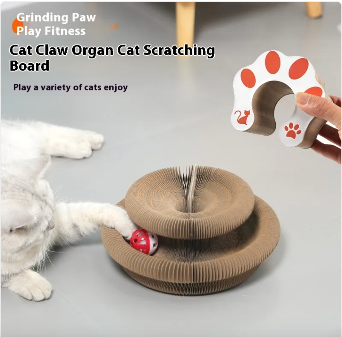 Magnetisches Klappbares Katzen-Kratzbrett Spielzeug