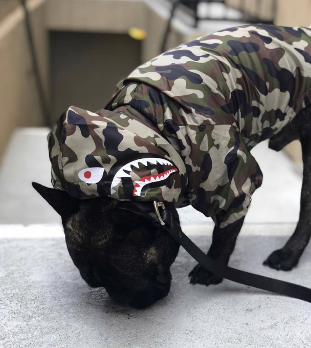 Wasserdichte Hundejacke