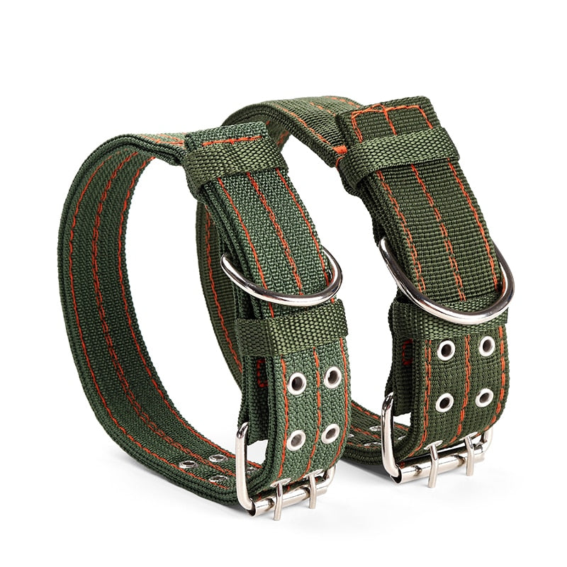 Hundehalsband, Canvas Hundehalsband