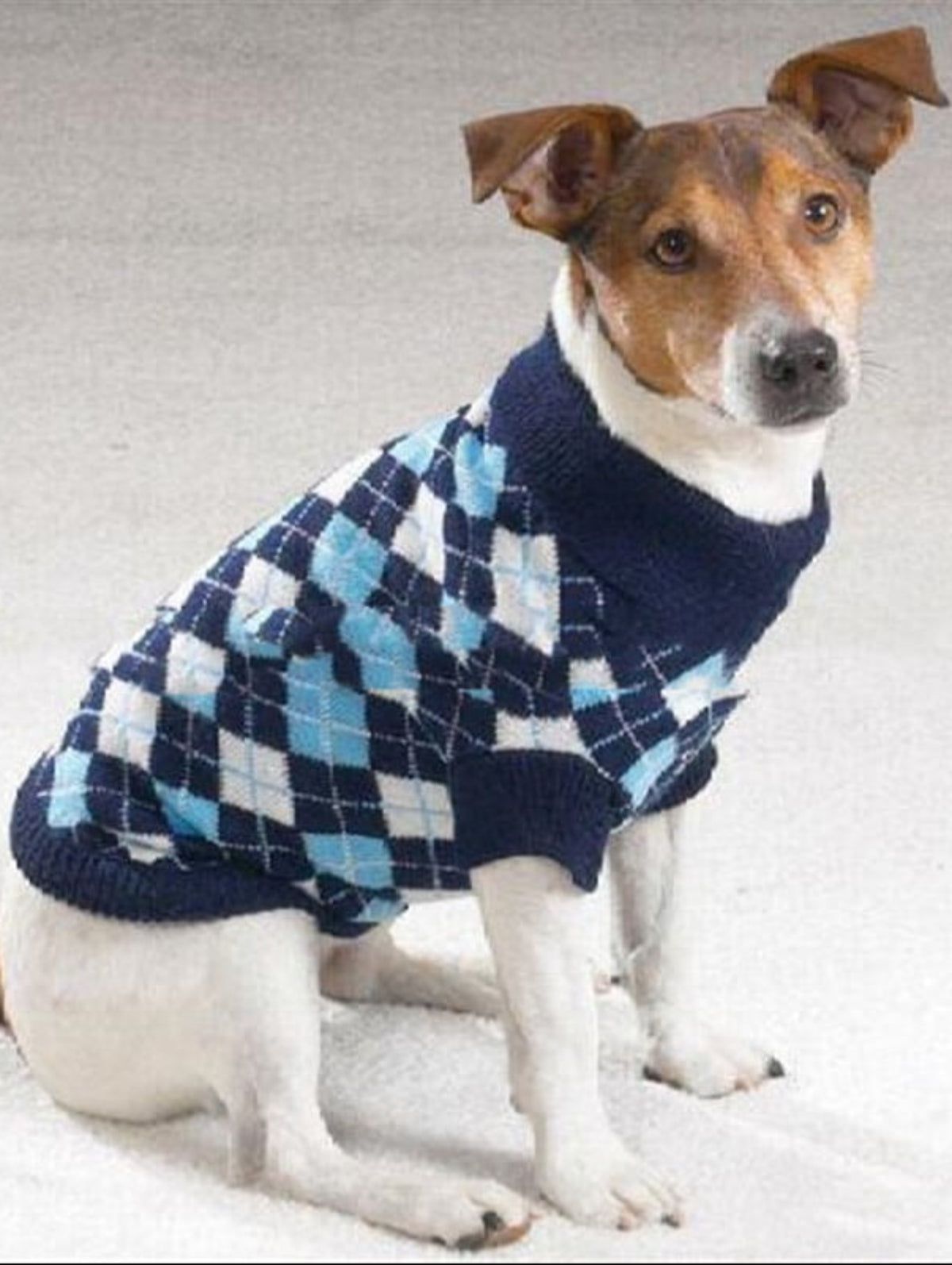 Stilvoller Hundepullover