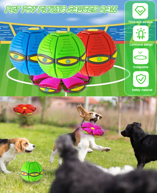 Magischer UFO Hunde Ball
